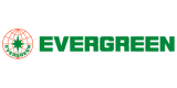 Evergreen